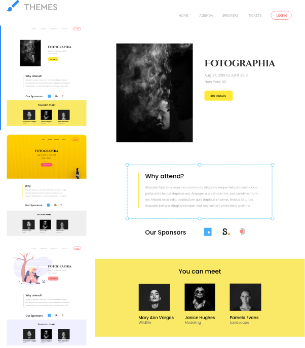 适用于组织者的步骤