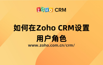 如何在Zoho CRM设置用户角色？