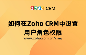 如何在Zoho CRM中设置用户角色权限？
