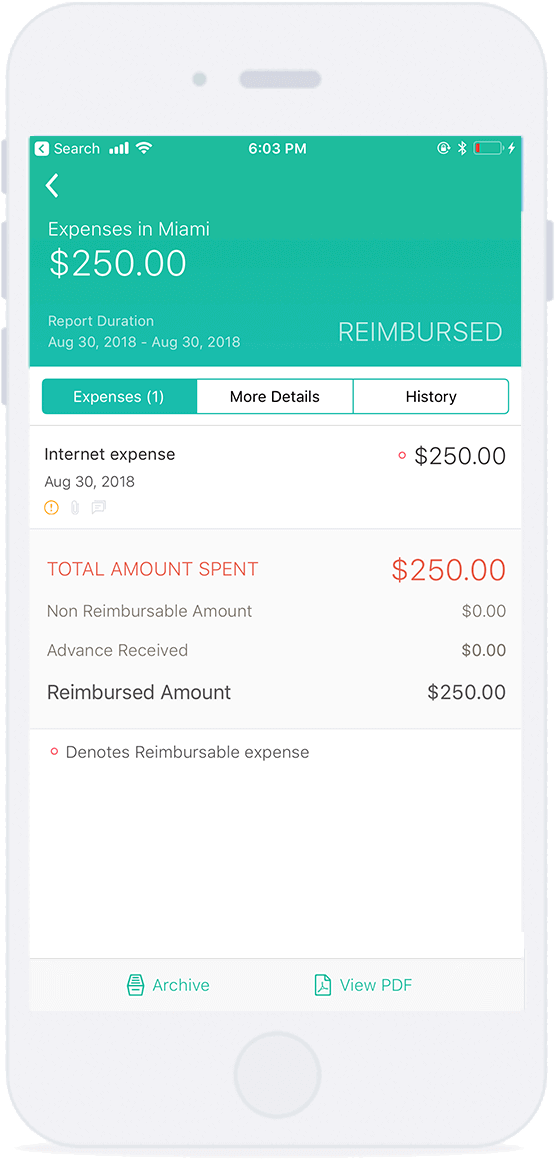 Expense Report Automation for Iphone