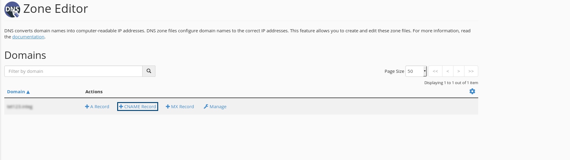 选择“CNAME 记录”选项