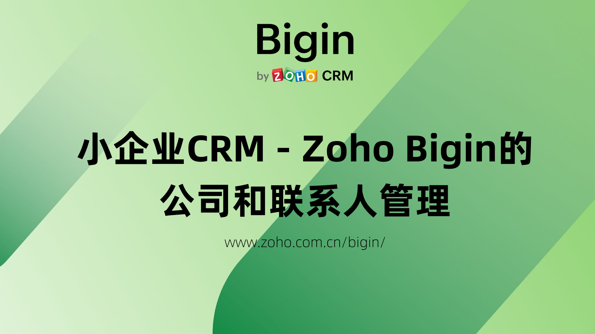 Zoho Bigin的公司和联系人管理